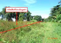 https://kamphaengphet.ohoproperty.com/212542/ธนาคารกสิกรไทย/ขายที่ดินว่างเปล่า/คลองขลุง/คลองขลุง/กำแพงเพชร/